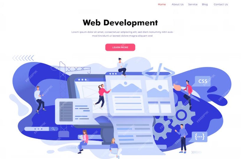 Custom Web Development solutions in Pune